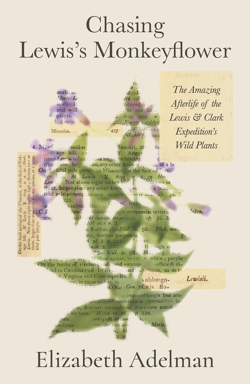 Chasing Lewis's Monkeyflower: The Amazing Afterlife of the Lewis and Clark Expedition's Wild Plants      Hardcover – February 17, 2026