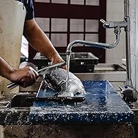 Vista 6 de Desincrustador de pescado, desincrustador de peces de acero inoxidable 304, herramienta descalcificadora de peces de dientes de sierra para cocina