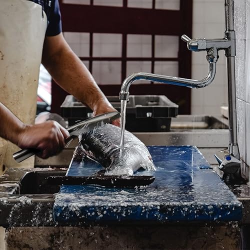 Miniatura 6 de Desincrustador de pescado, desincrustador de peces de acero inoxidable 304, herramienta descalcificadora de peces de dientes de sierra para cocina