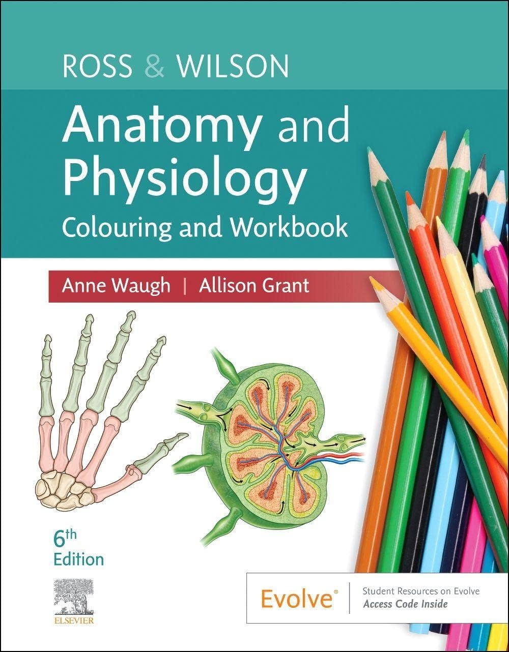 Ross & Wilson Anatomy and Physiology Colouring and Workbook Paperback โ Coloring Book, 20 January 2023