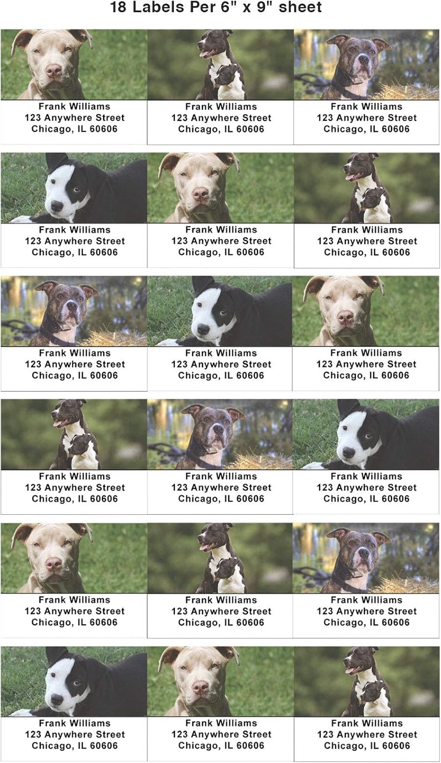 Pit Bulls Address Labels