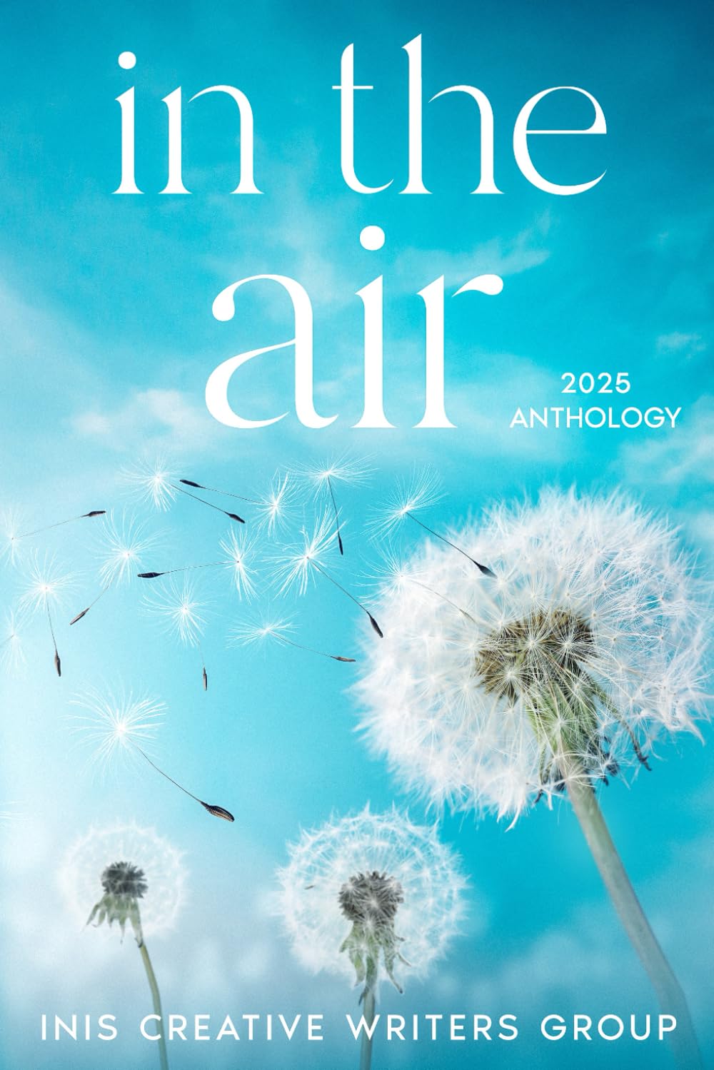 In the air: 2025 Anthology