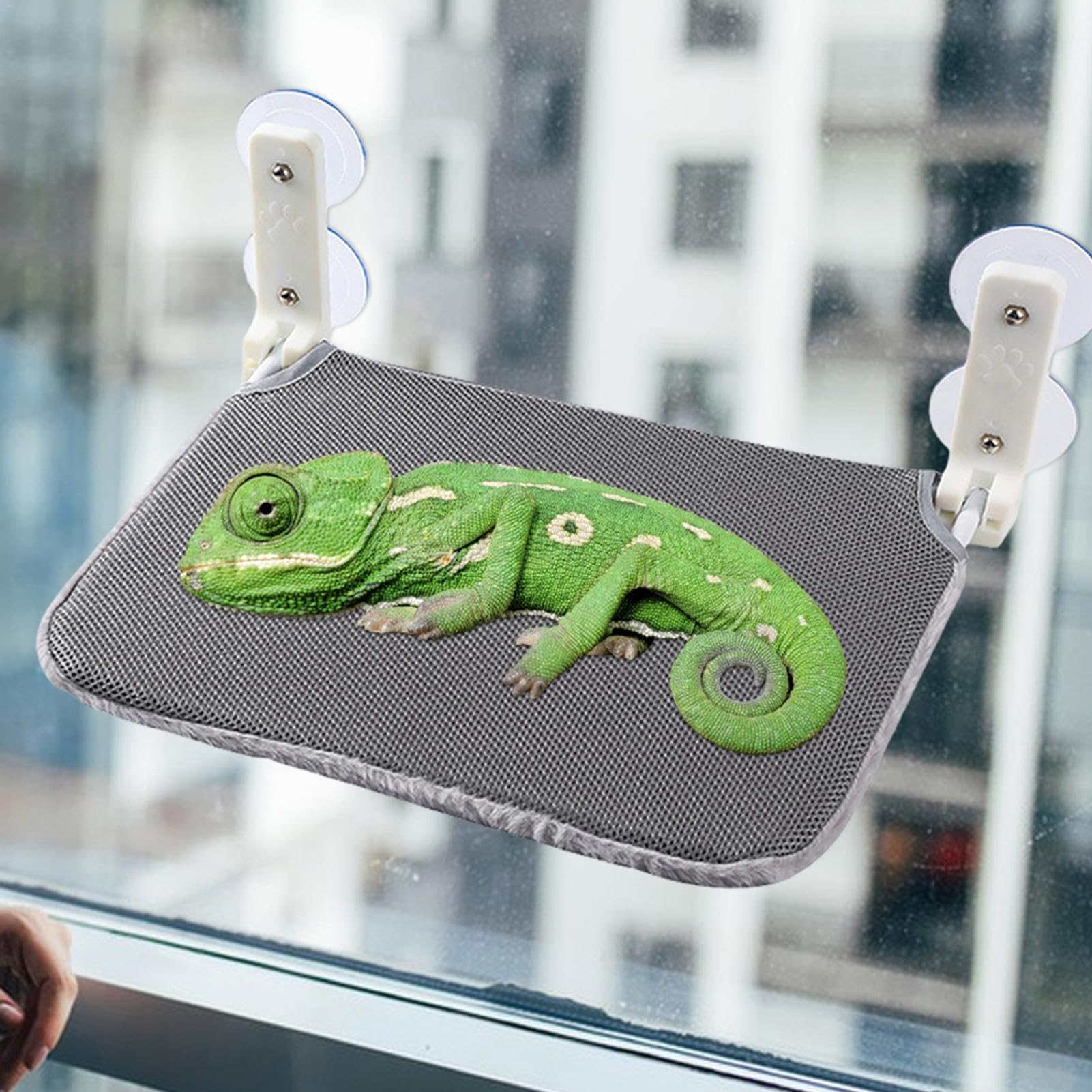 Hamaca de dragón barbudo | Percha plegable con ventosa para reptiles, hamaca gris con cremallera, cama que ahorra espacio para descansar, dormir y jugar