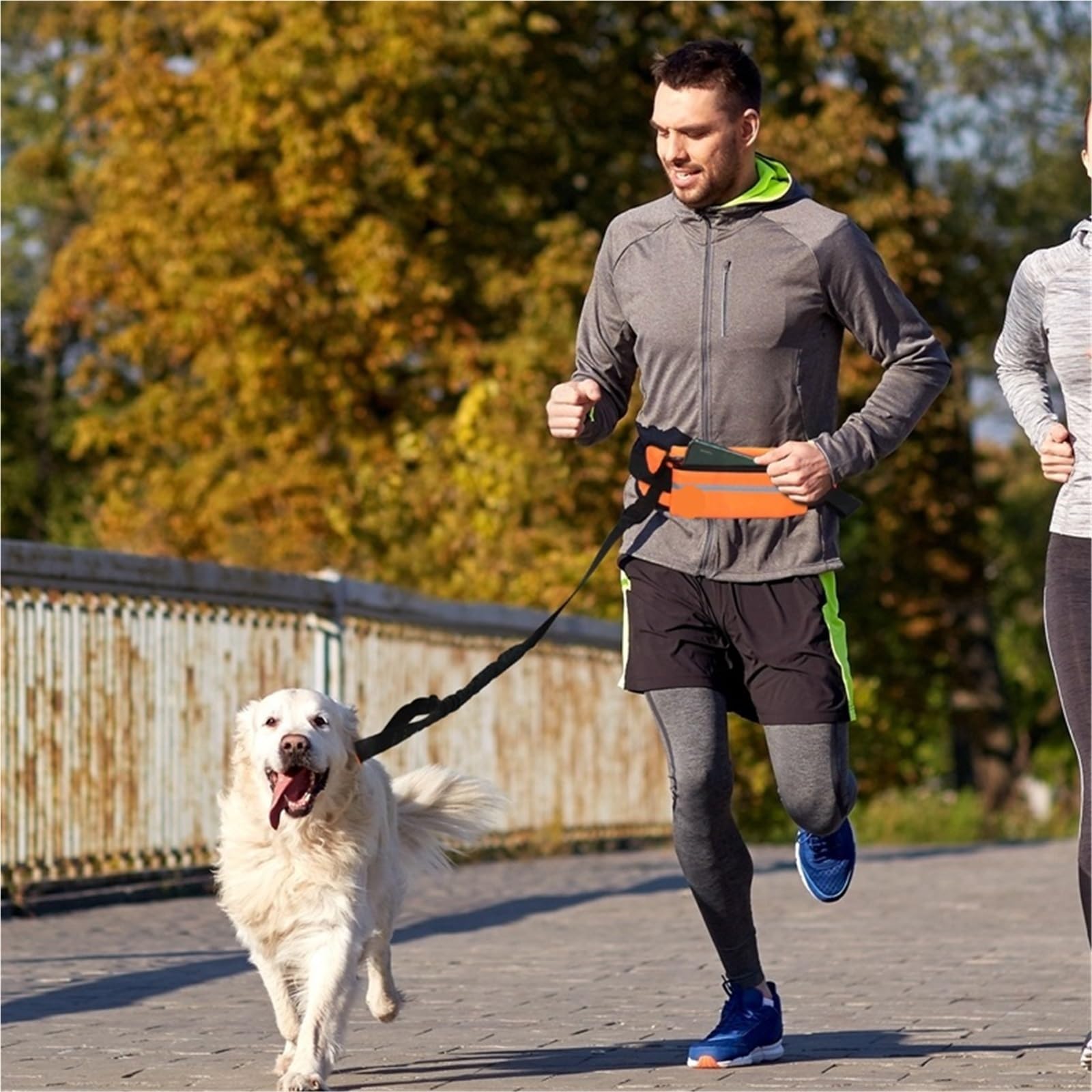 Correa Perro para Correr Cinturón for Correr for Perros con Manos Libres y Cremallera, riñonera Multifuncional, Cuerda for pasear Perros