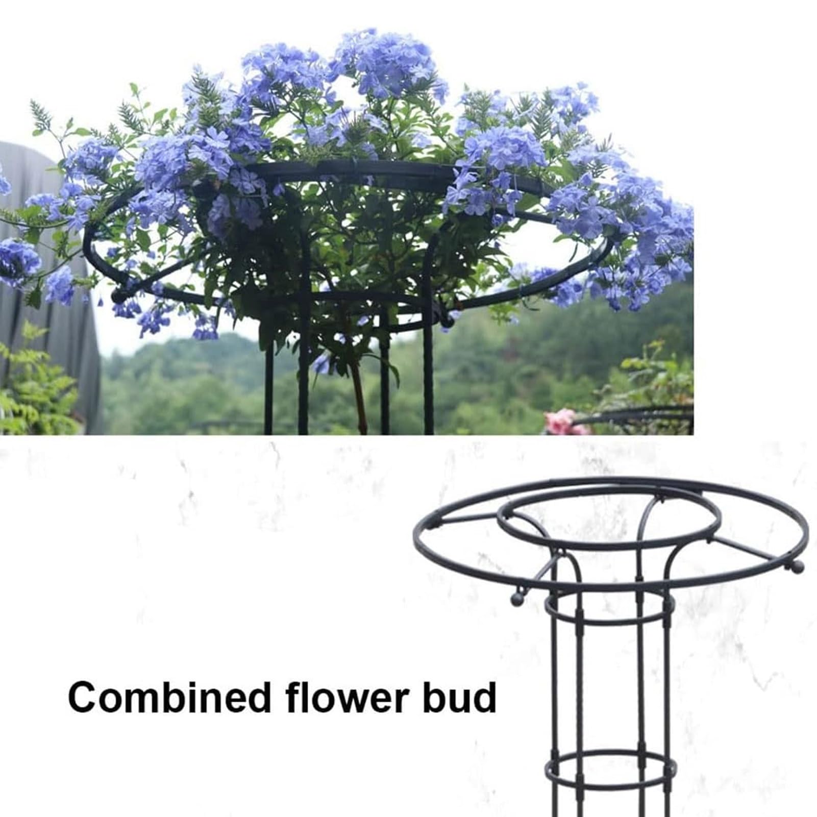 Treillis de jardin vertical pour plantes grimpantes - Tour de glycine antirouille avec cage de support pour fleurs et support de concombre (120 cm)