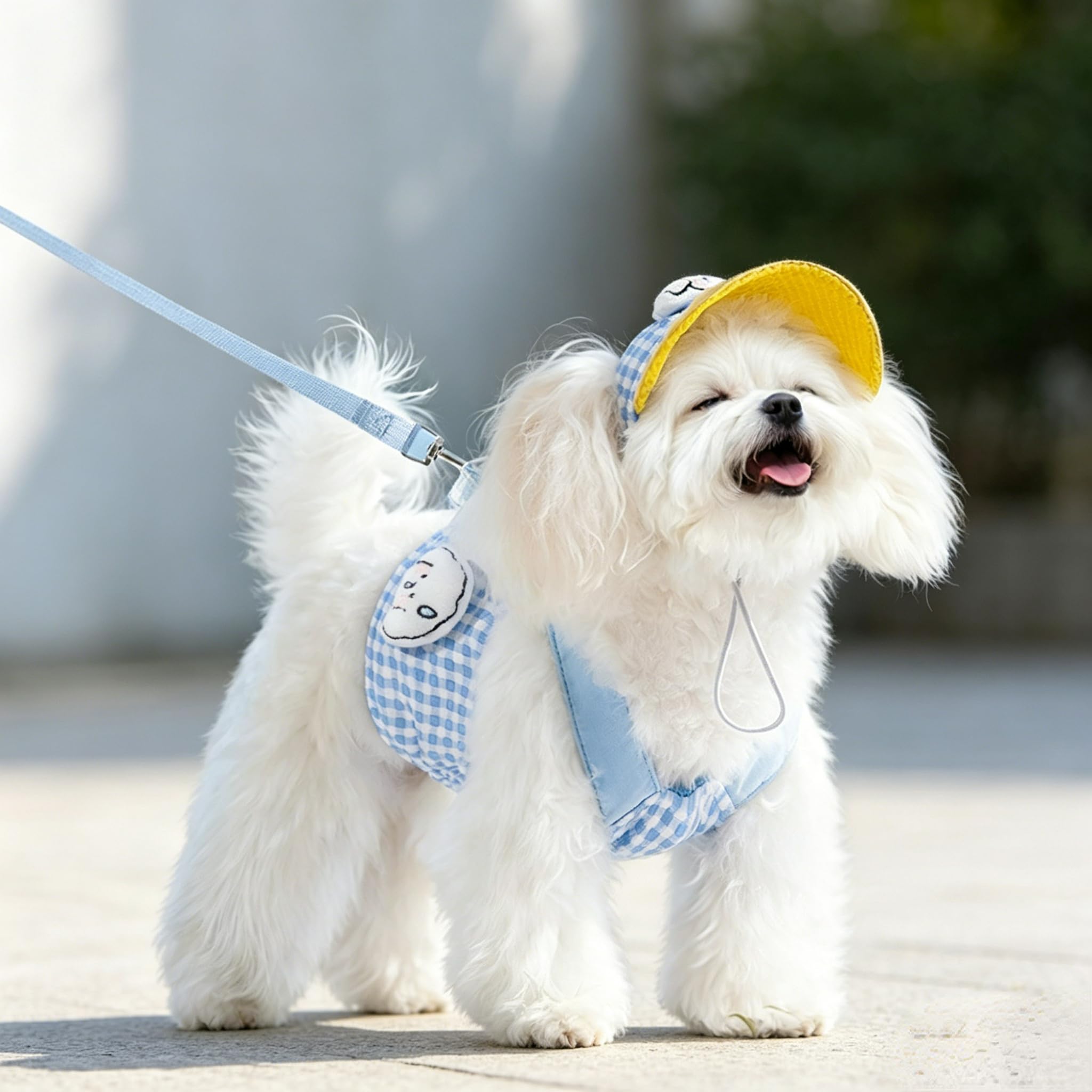 Arnés para disfraz de gato y cachorro, gorra de béisbol, juego de 3 piezas, bonitos accesorios para mascotas, varios tamaños, para gatos y perros pequeños (correa azul, arnés y gorra, 3 piezas