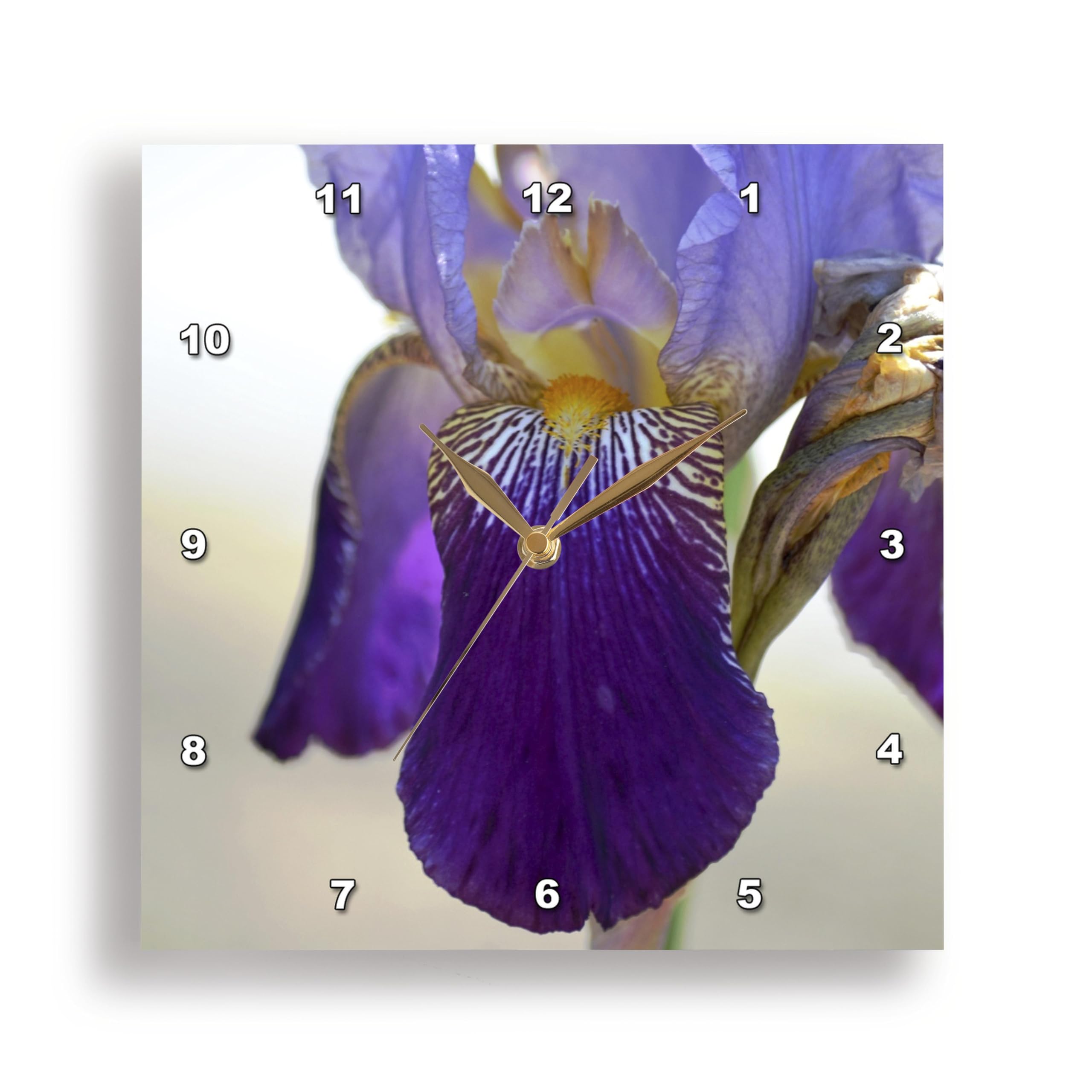 Horloge murale aluminium 3dRose Iris pour décorer vos murs