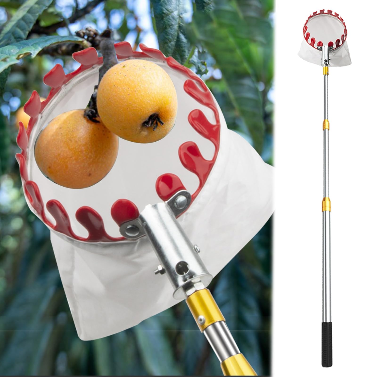 bastone raccogli frutta telescopico Raccoglitore di frutta extra lungo con asta telescopica e manico lungo, frutteto/fattoria, raccoglitore di frutta per avocado, limone, prugne, ghiande, pere, mango(