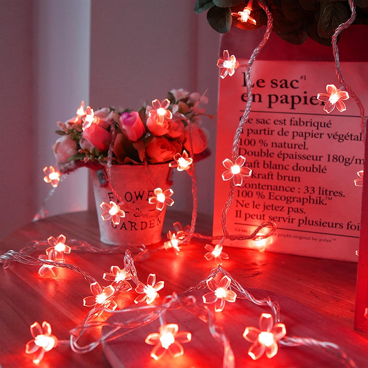 Battery Lighted & USB Plug in Fairy Flower String Lights, 10ft 30 LED Cute