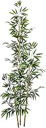 Planta Bambu Artificial 2 Metros Sem Vaso Decoração para Sala
