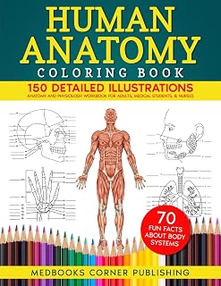 Human Anatomy Coloring Book for Medical Students & Nurses: 150 Detailed Illustrations, 70 Facts, Advanced Body Systems Workbook