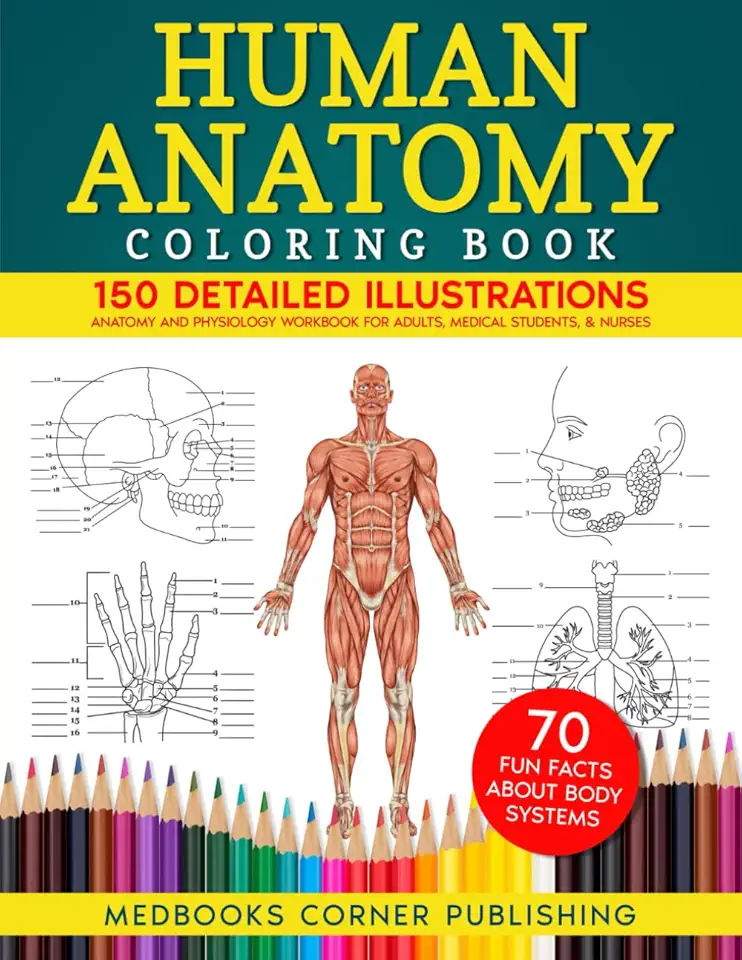 Human Anatomy Coloring Book: 150 Detailed Illustrations & 70 Fascinating Facts in an Anatomy and Physiology Workbook for Adults, Medical Students, & Nurses Focused on Advanced Body Systems Learning