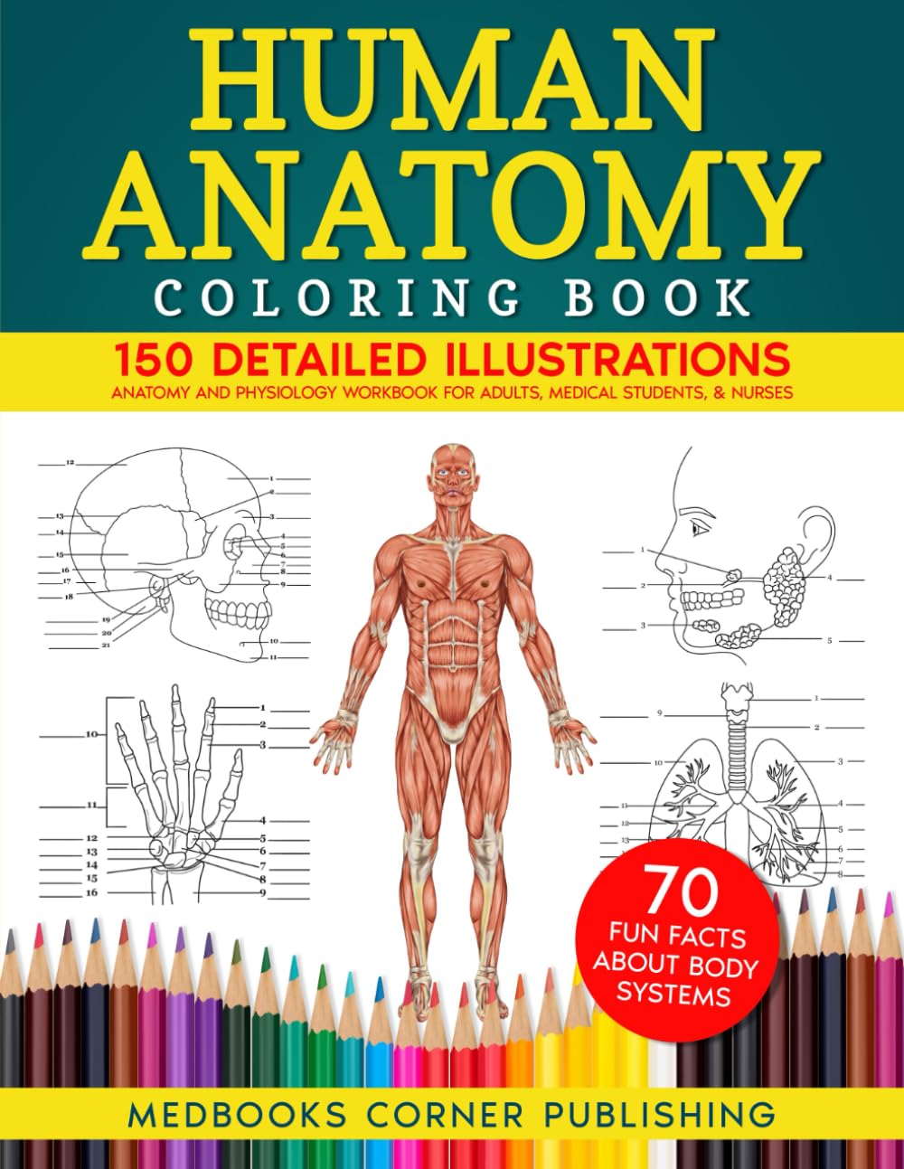 Human Anatomy Coloring Book: 150 Detailed Illustrations & 70 Fascinating Facts in an Anatomy and Physiology Workbook for Adults, Medical Students, & Nurses Focused on Advanced Body Systems Learning