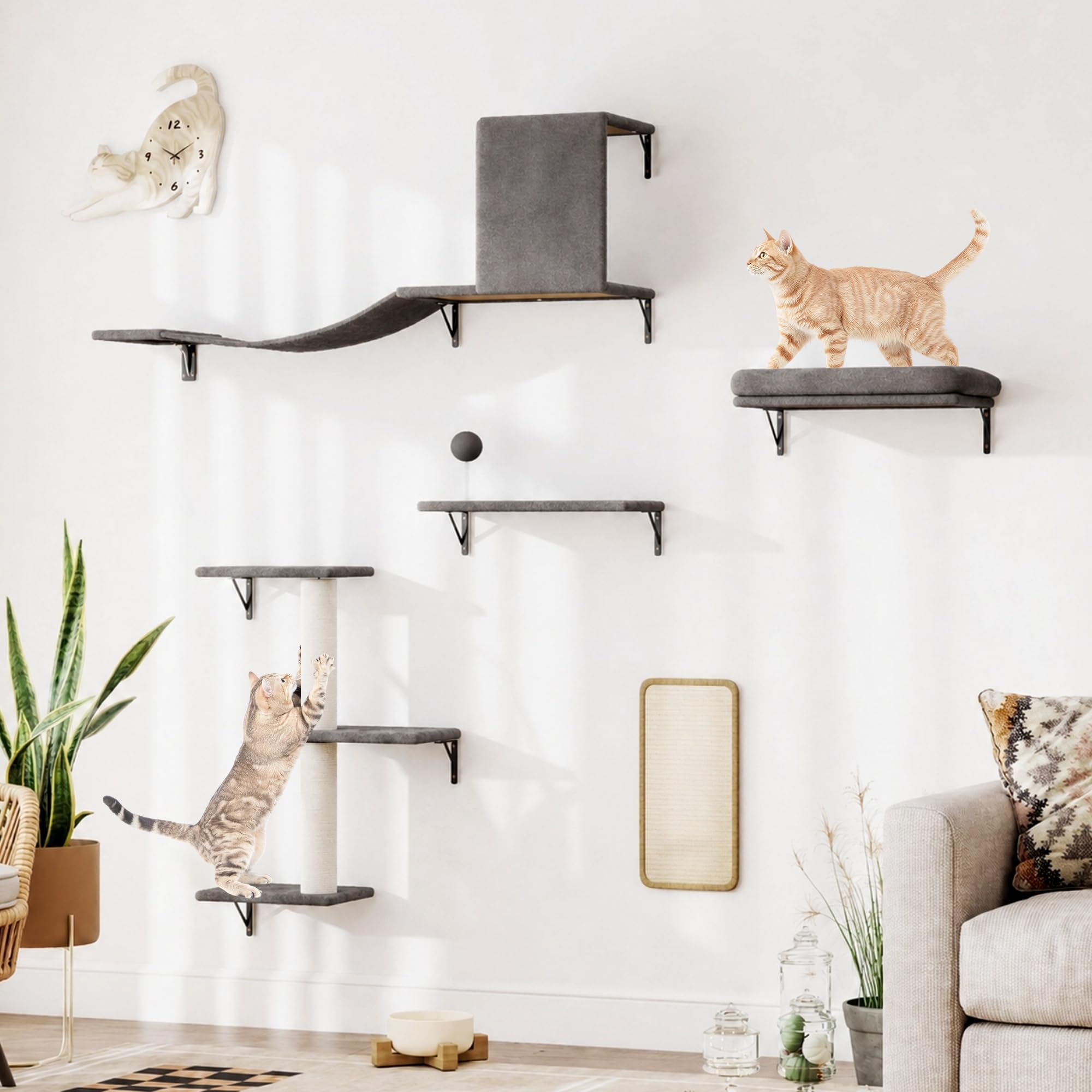 Summer Island 5-IN-1 Cat Wall Shelves Set, Wall Mounted Cat Furniture with Cat Tree & Scratching Post, Cat Climbing Wall Set Floating Cat Perches for Indoor Cats (GREY)
