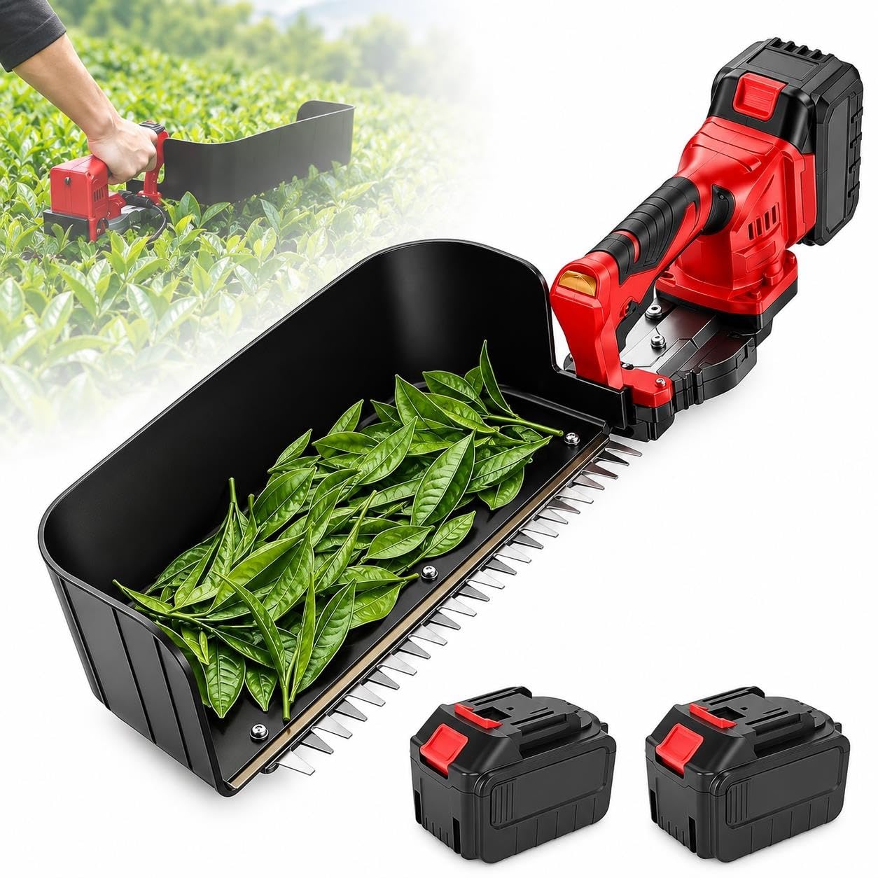 Máquina Eléctrica For Hojas De Té, Cosechadora De Té Portátil