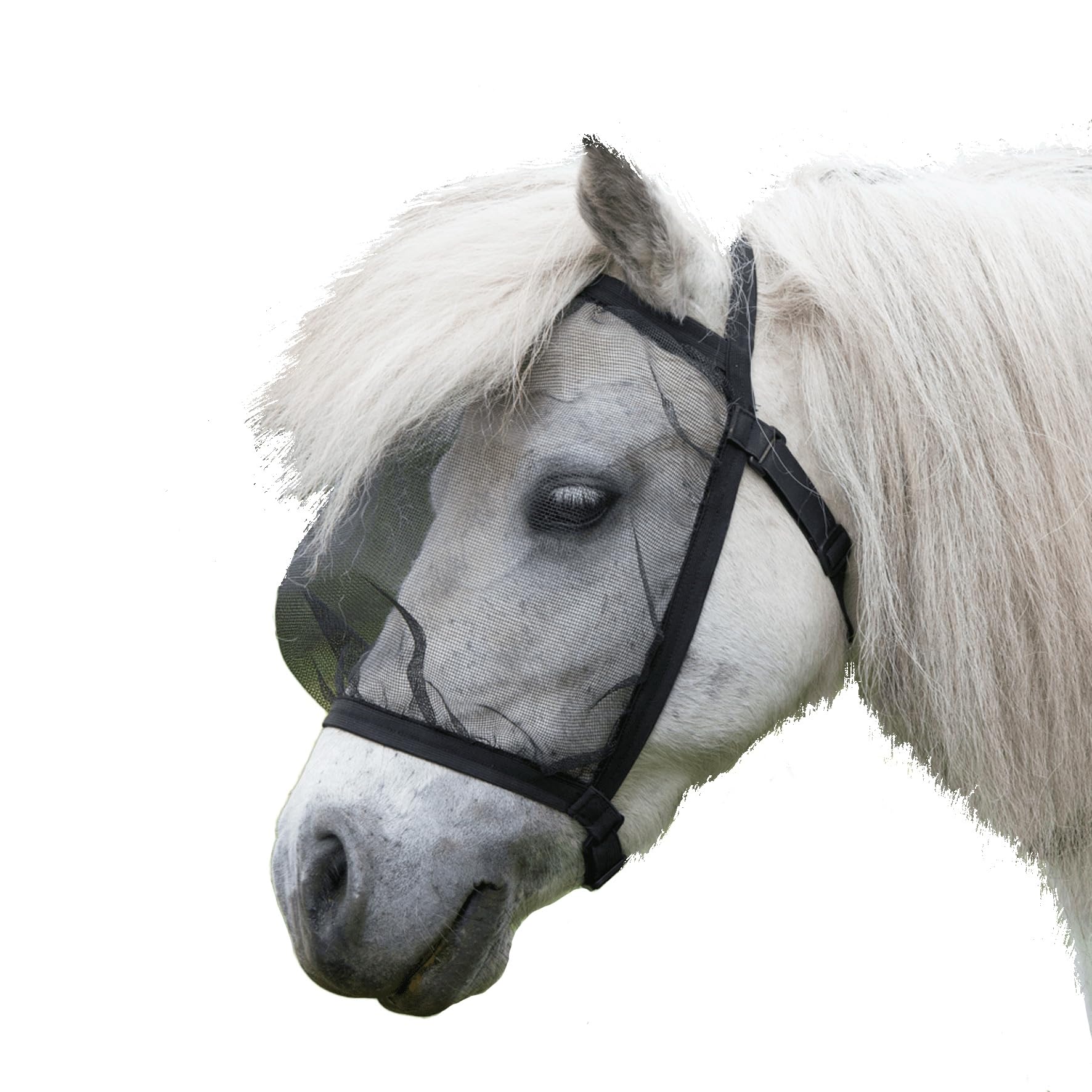 Waldhausen Fliegenmaske Basic, ohne Ohren, schwarz, Pony