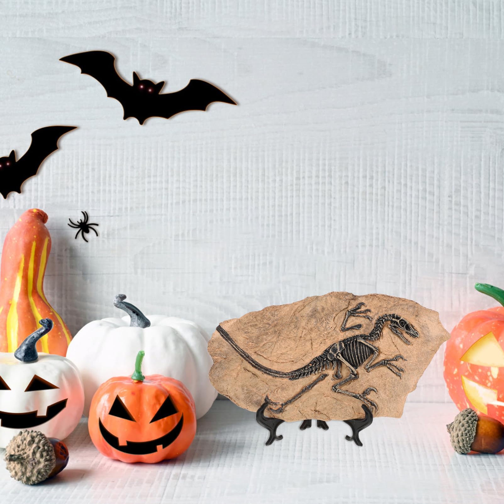 Kisangel Fossile di Dinosauro in Resina per Ragazzo Ragazza, Decorazione Realistica per Compleanno e Festa, Set per Sviluppare Creatività e Simulazione