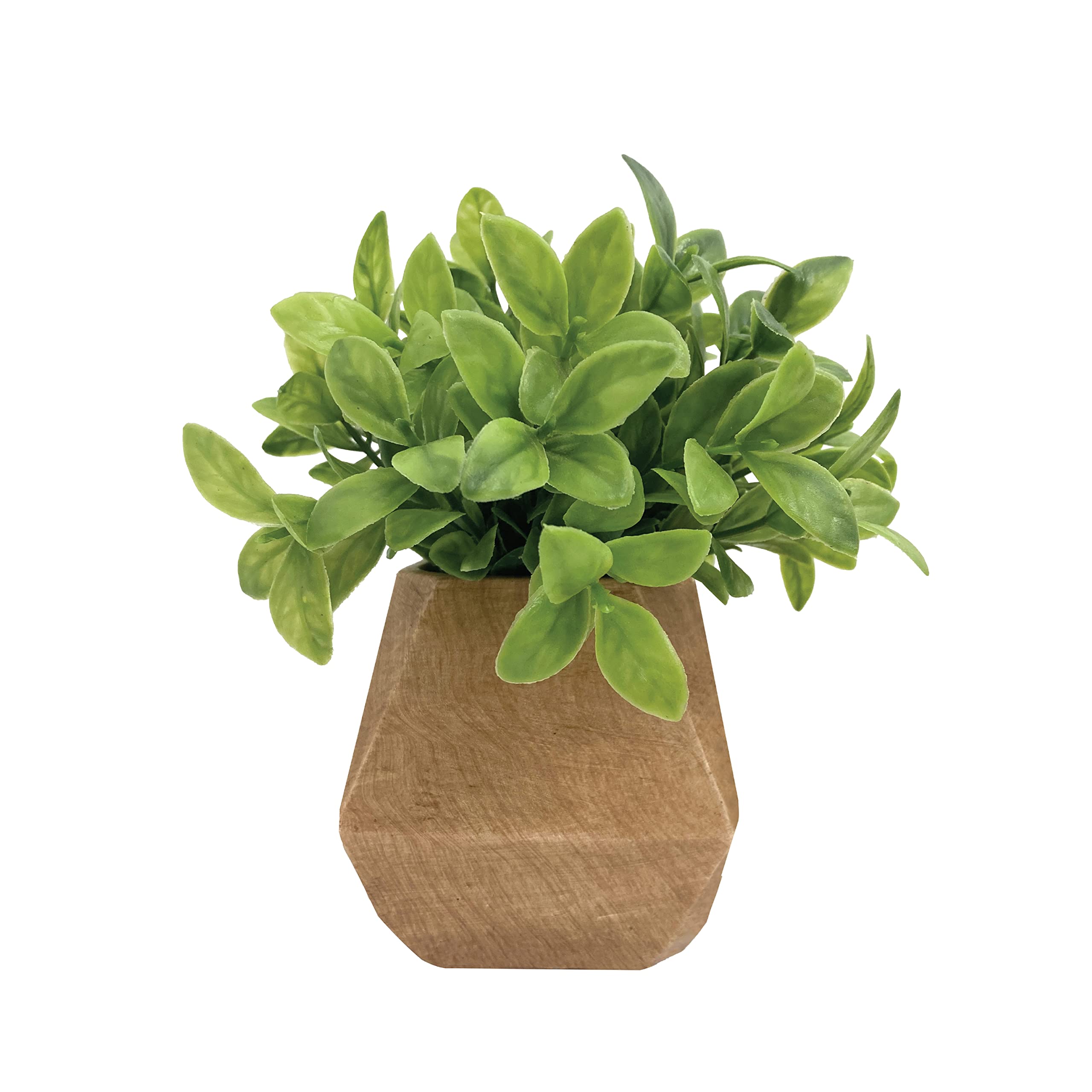 Buy Artificial Boxwood Bush in Cement Pot 8 x 8 Faux Flower, Real Touch