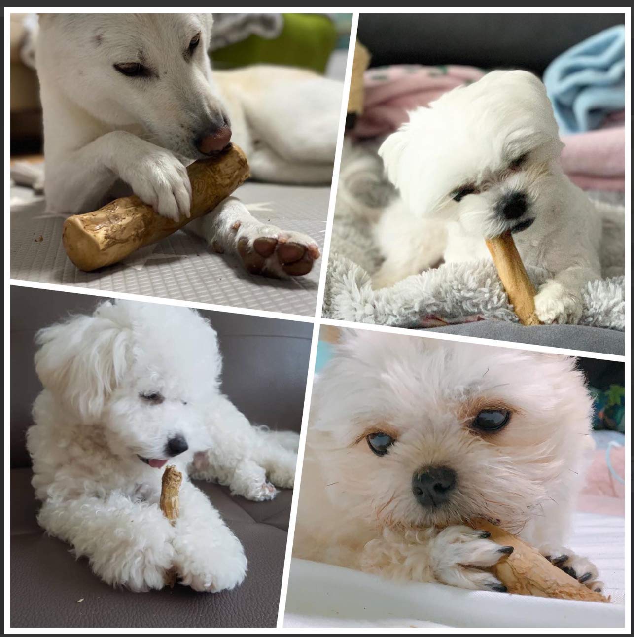 WoofWood Pałeczki do żucia dla psów