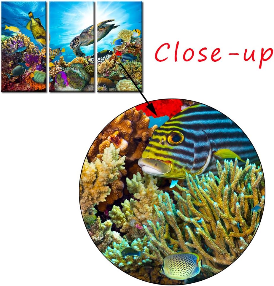 3 Piece Ocean Canvas Wall Art Painting Underwater Sea Turtle and Tropical Fish Poster Prints Seascape Wall Decor Printed on Canvas Living Room Home Decoration Ready to Hang 16"x32"x3panel