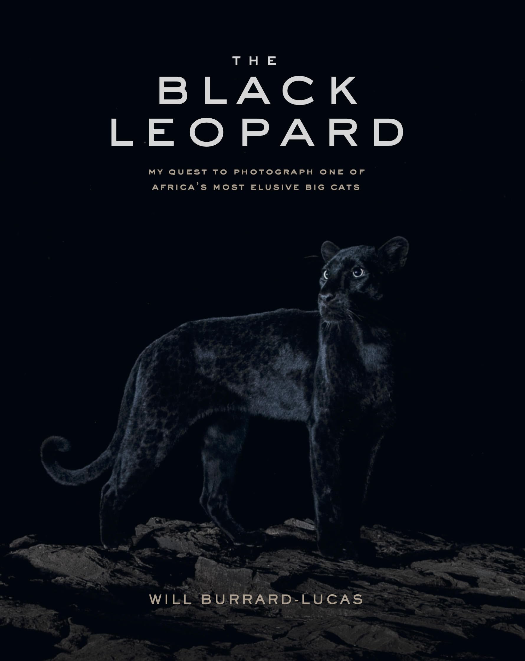 The Black Leopard : My Quest to Photograph One of Africa's Most Elusive Big Cats