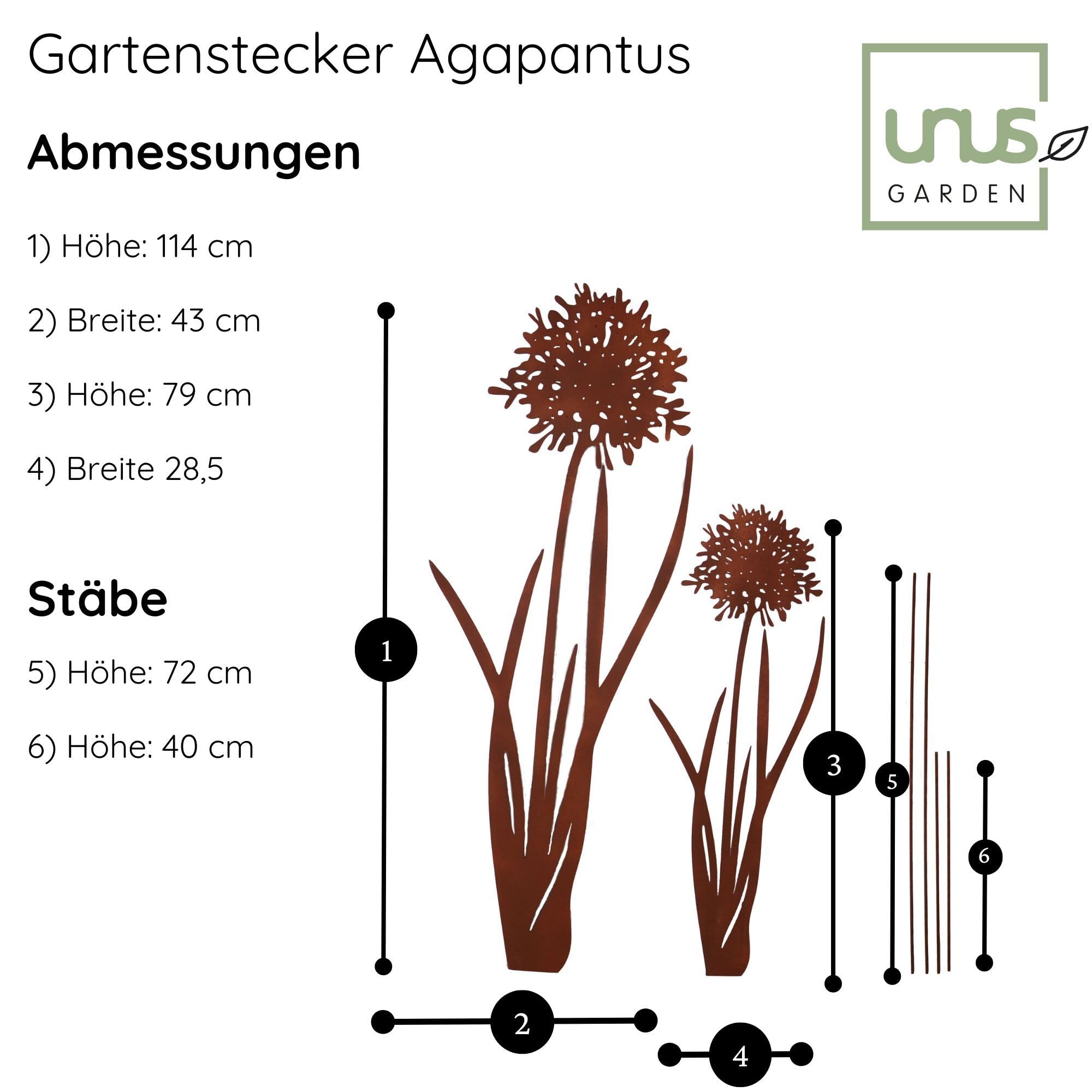UNUS Palo da Giardino Agapantus Set di 2 Effetto Ruggine Decorazione per Giardino Terrazzo Balcone