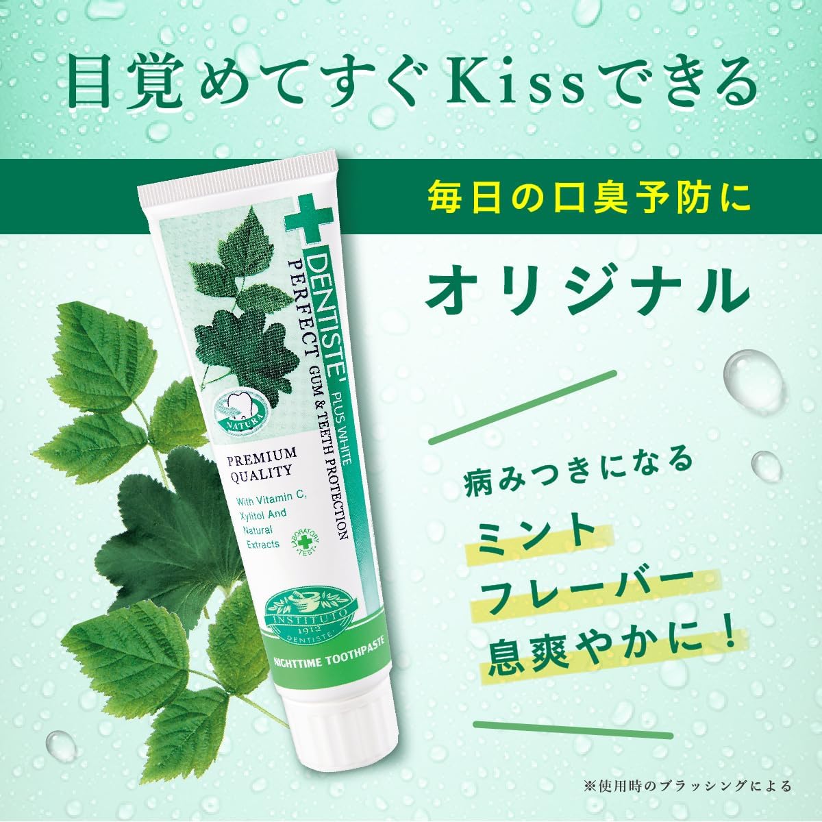 デンティス エチケット ペースト ハミガキ粉 100g ミント