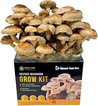 Shiitake Mushroom Grow Kit 5.5lbs Grow Your Own Mushrooms at Home | Easy Indoor Grow Bag Kit