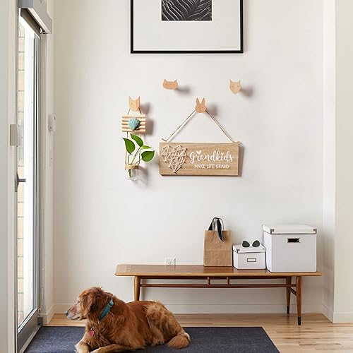 Miniatura 10 de WONQEXZ Gancho de pared, gancho de pared de madera para guardería, erizo natural, caracol y gatito, ganchos de madera, gancho montado en la pared