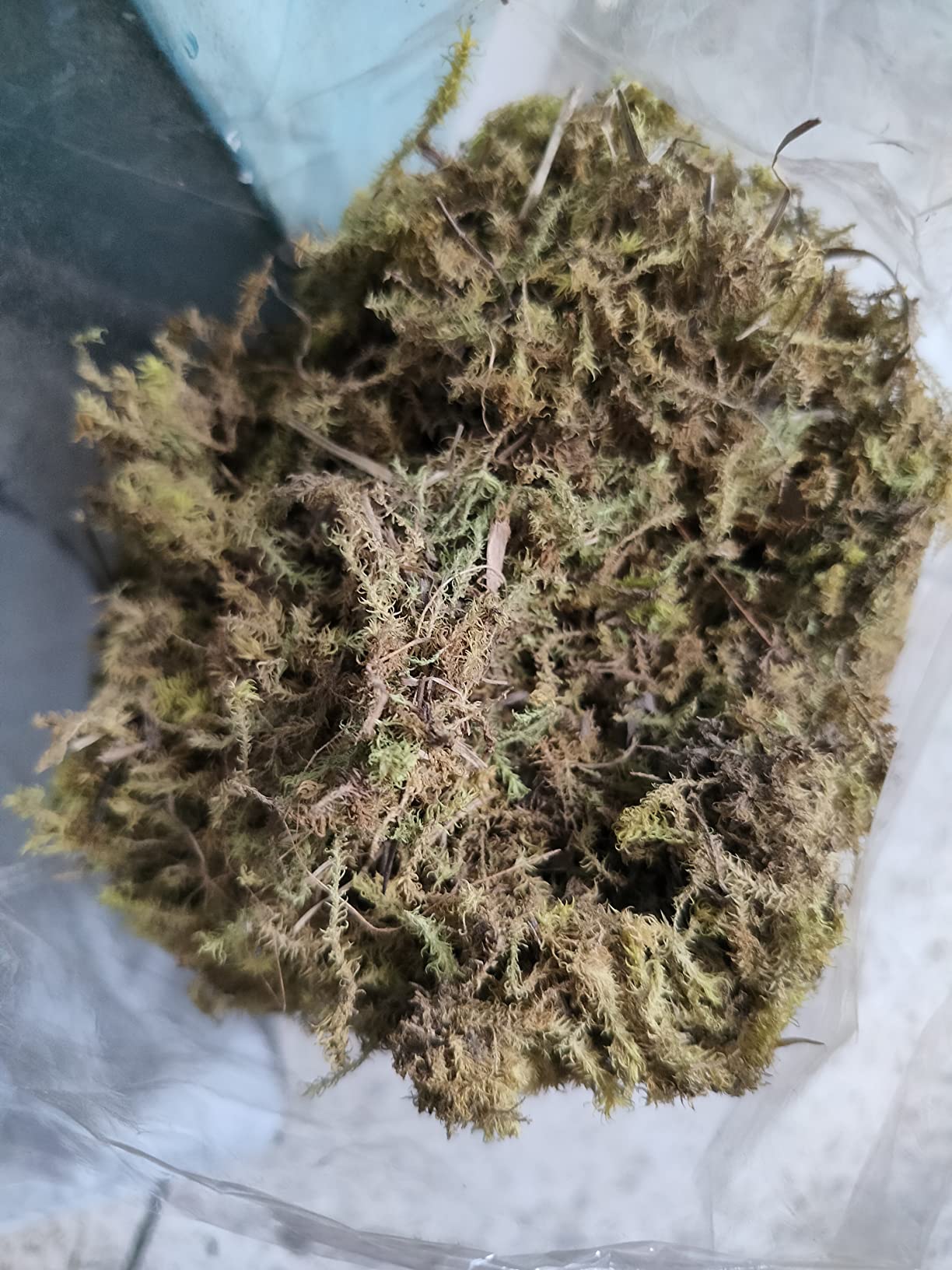 VK HORE Sphagnum Dry Moss for Orchid Plant Soil, Air Layering 250g(Green & Brown) Home & Garden