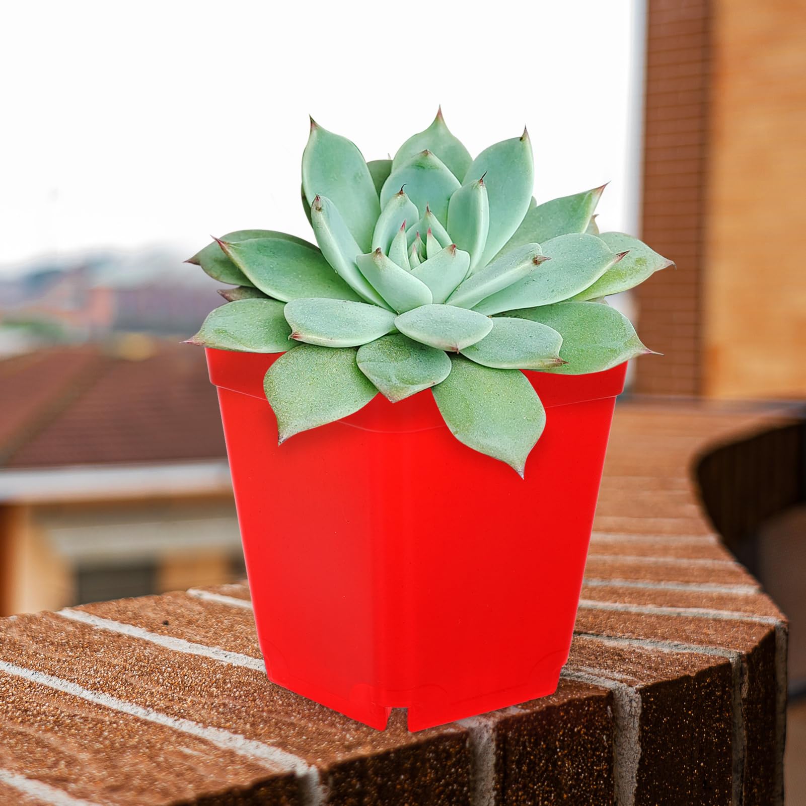VANZACK 120 Pièces Lot de Petits Pots Plastique pour Plantes Bureau Résistants Et Faciles Utilisation