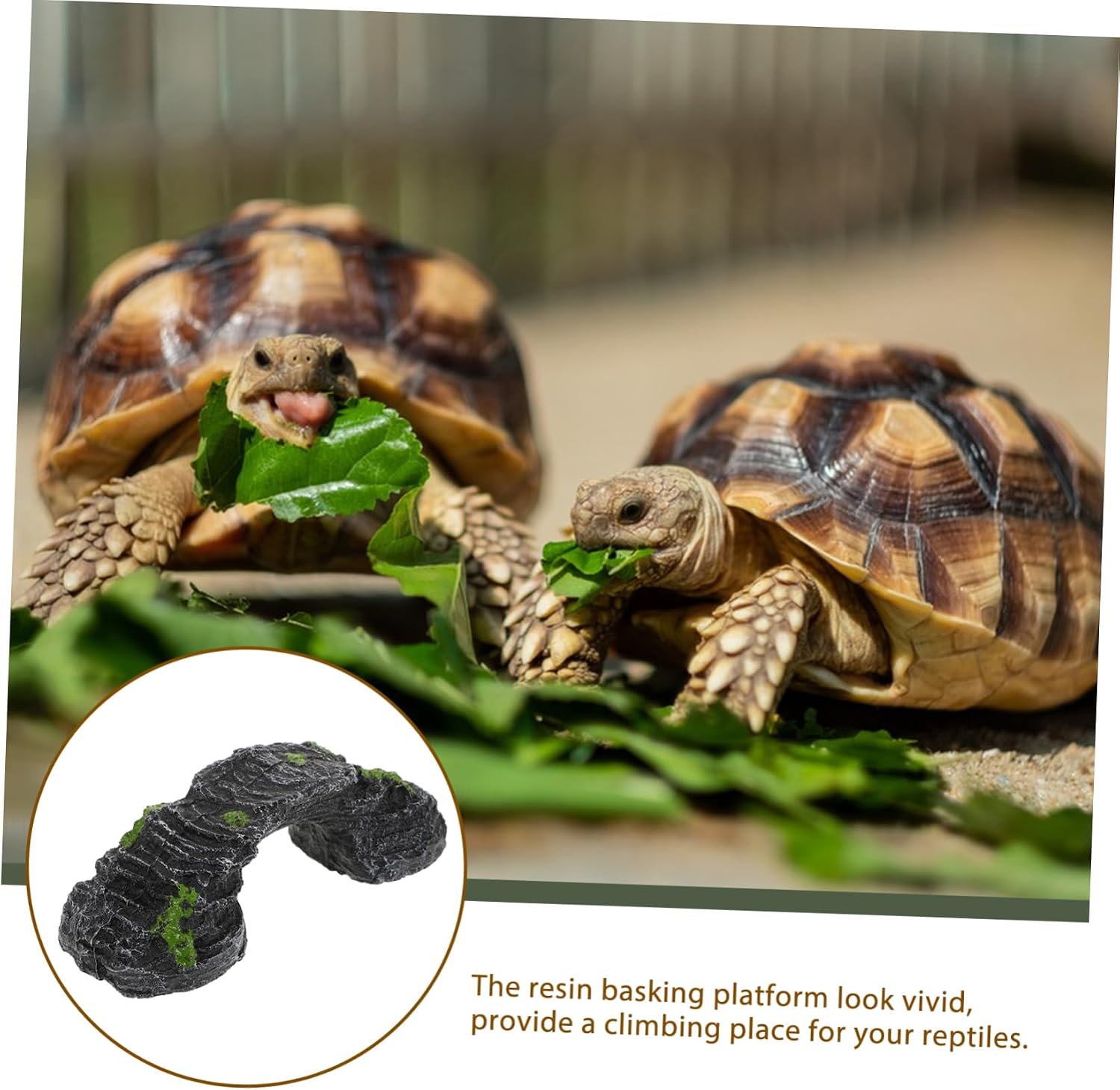 Toddmomy Tortoise Basking Platform Decorative Rockery for Reptiles and Amphibians Terrarium Accessory for Frogs Lizards Safe and Easy to Clean