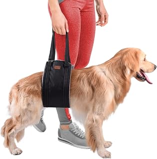 Dog Lift Harness - Dog Sling for Large Dogs Hind Leg Support - Help Your Elderly Or Handicapped Dog’s Mobility with Back Legs, Hips and Back Support - Make Lifting & Walking Large Dogs Easier