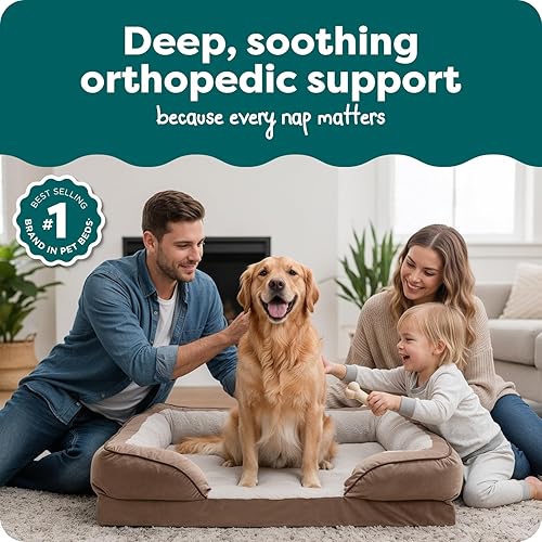 Miniatura 2 de Furhaven - Cama para mascotas de espuma viscoelástica para perros y gatos, cama para perros tipo sofá, comodidad perfecta, con ondas, de terciopelo