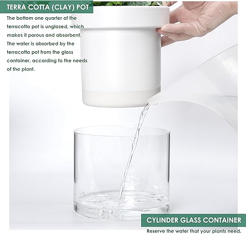 Miniatura 6 de Phoenix Vine Maceta de riego automático de 6 pulgadas y 4 pulgadas, macetas de arcilla de terracota blanca con depósito de vidrio para plantas de