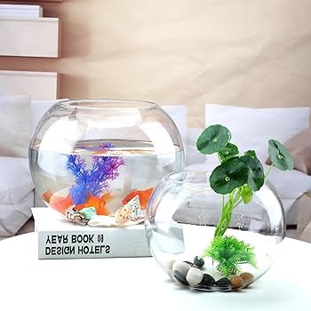 ユニーク な形状のガラス製 花瓶 花器 金魚鉢 メダカ鉢 です。 楽天市場】短納期 金魚鉢 メダカ 透明 鉢 睡蓮鉢 ガラス製 天然