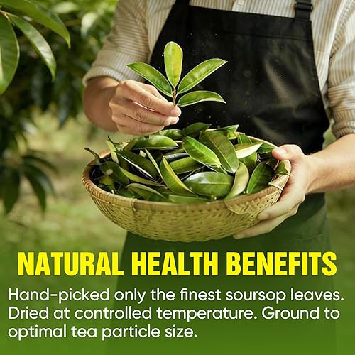 Miniatura 5 de TEAWOO Bolsas de té de guanábana, 60 paquetes de hojas de guanábana 100% naturales (hojas de guanábana), sin azúcar, sin cafeína, sin gluten, sin