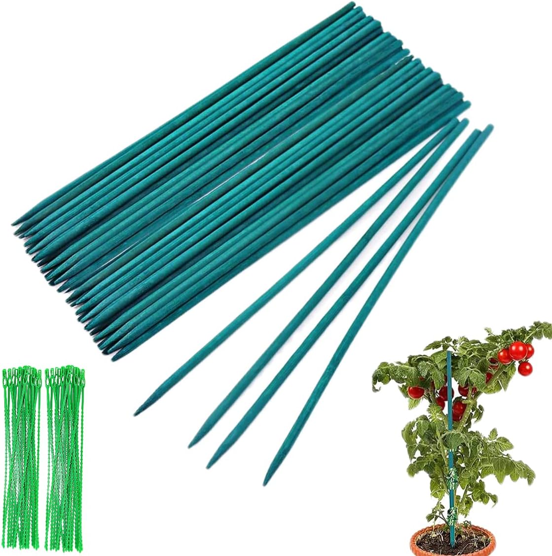 Garden Stakes Bamboo Sticks Plant Support Sticks with 100 Pcs Twist