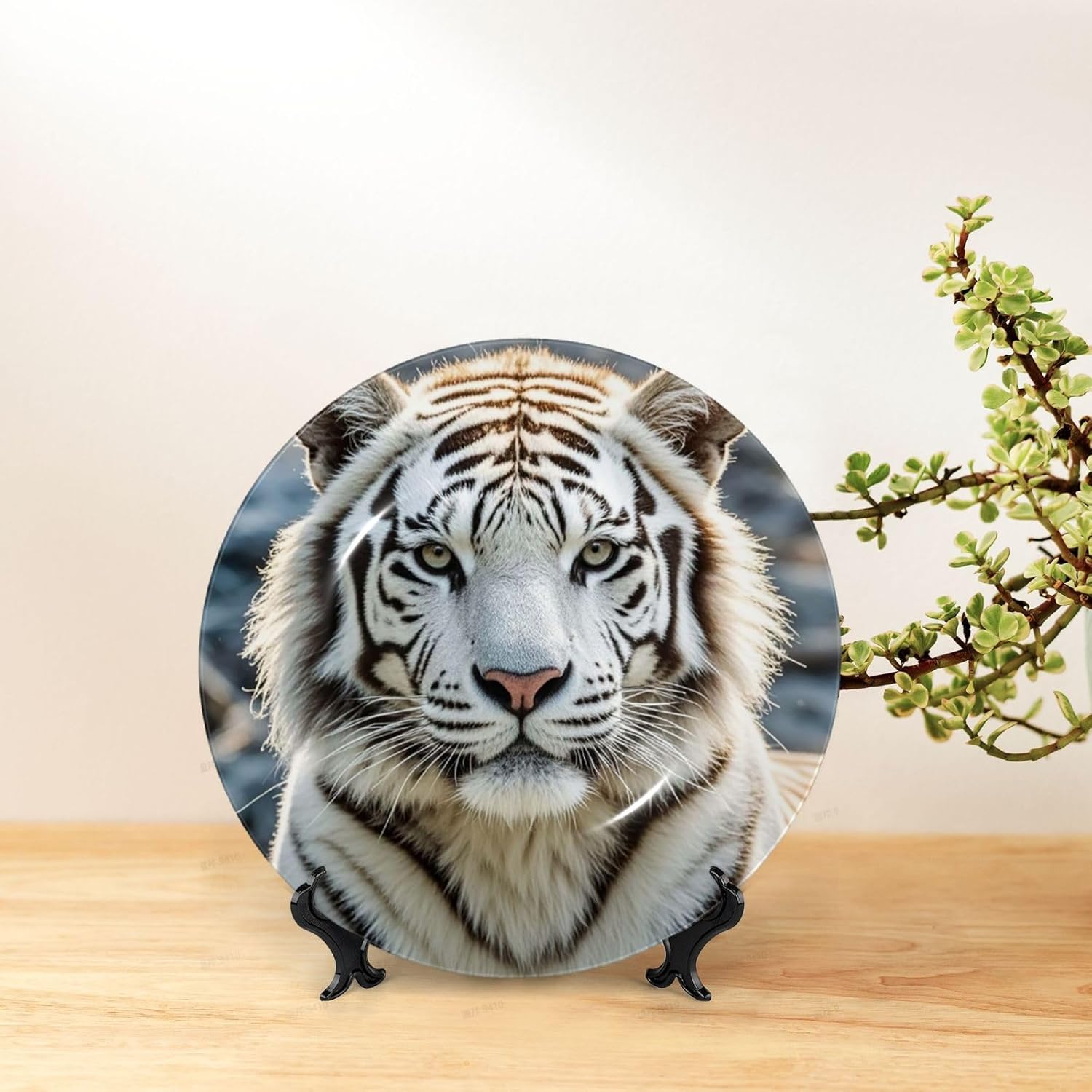 Decorative Plate Art Crafts Bone China Decorative Plate with Display Rack Souvenir Wall Decor Ceramic Ornaments Dinner Plates Ceramic Decoratives Plates for Home Office 10in