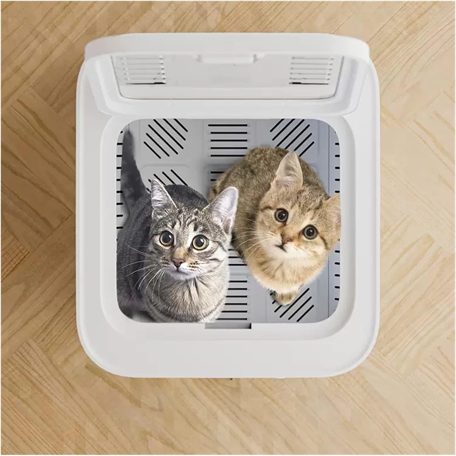 Litter Boxes Pet Intelligent Water Blowing Machine Cats and Dogs Automatic Bath Drying Box
