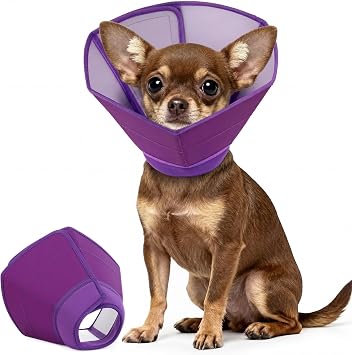 Soft Elizabethan Collar for Dogs After Surgery