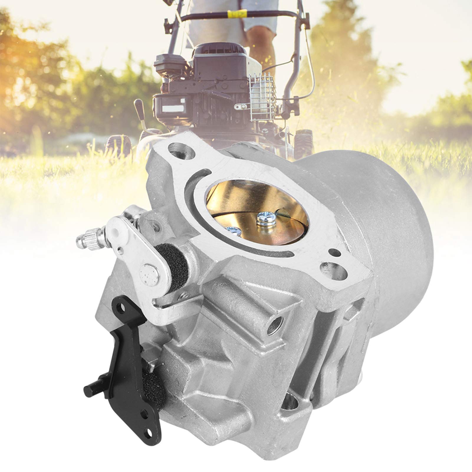 Carburateur Moteur 12 HP 12,5 HP pour 799728 498027 16x10x7