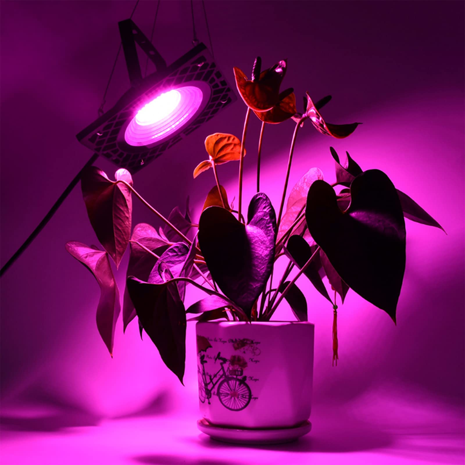 LED Lámpara de IA Planta, 50W Grow Light Espectro Completo, para Interior/Invernadero/Grow Box Vegetal Crecimiento,Blanco