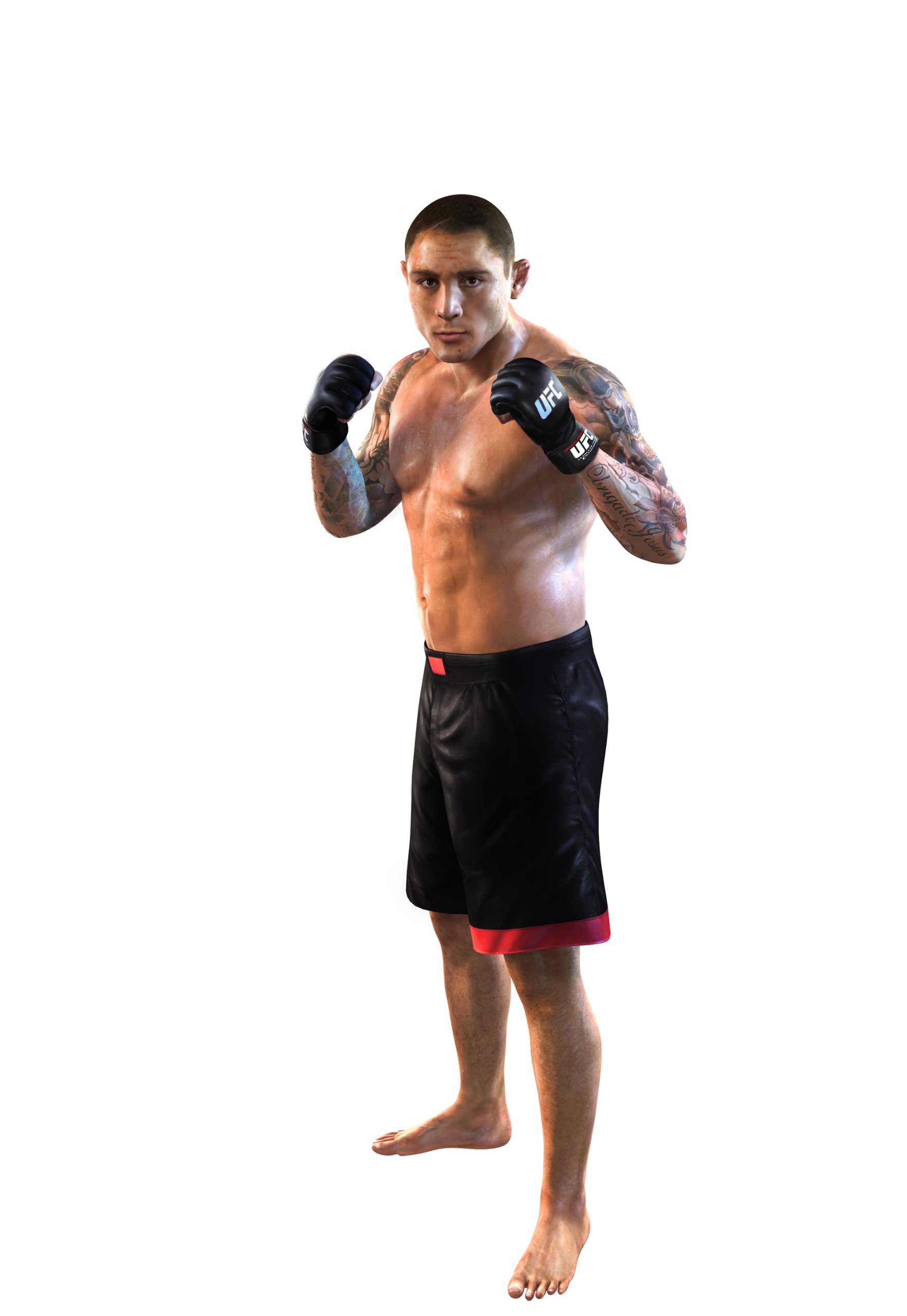 THQ UFC Undisputed 2010