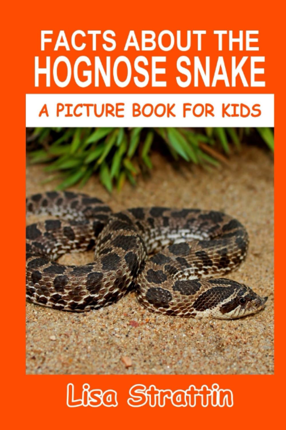 Facts About the Hognose Snake (A Picture Book For Kids)