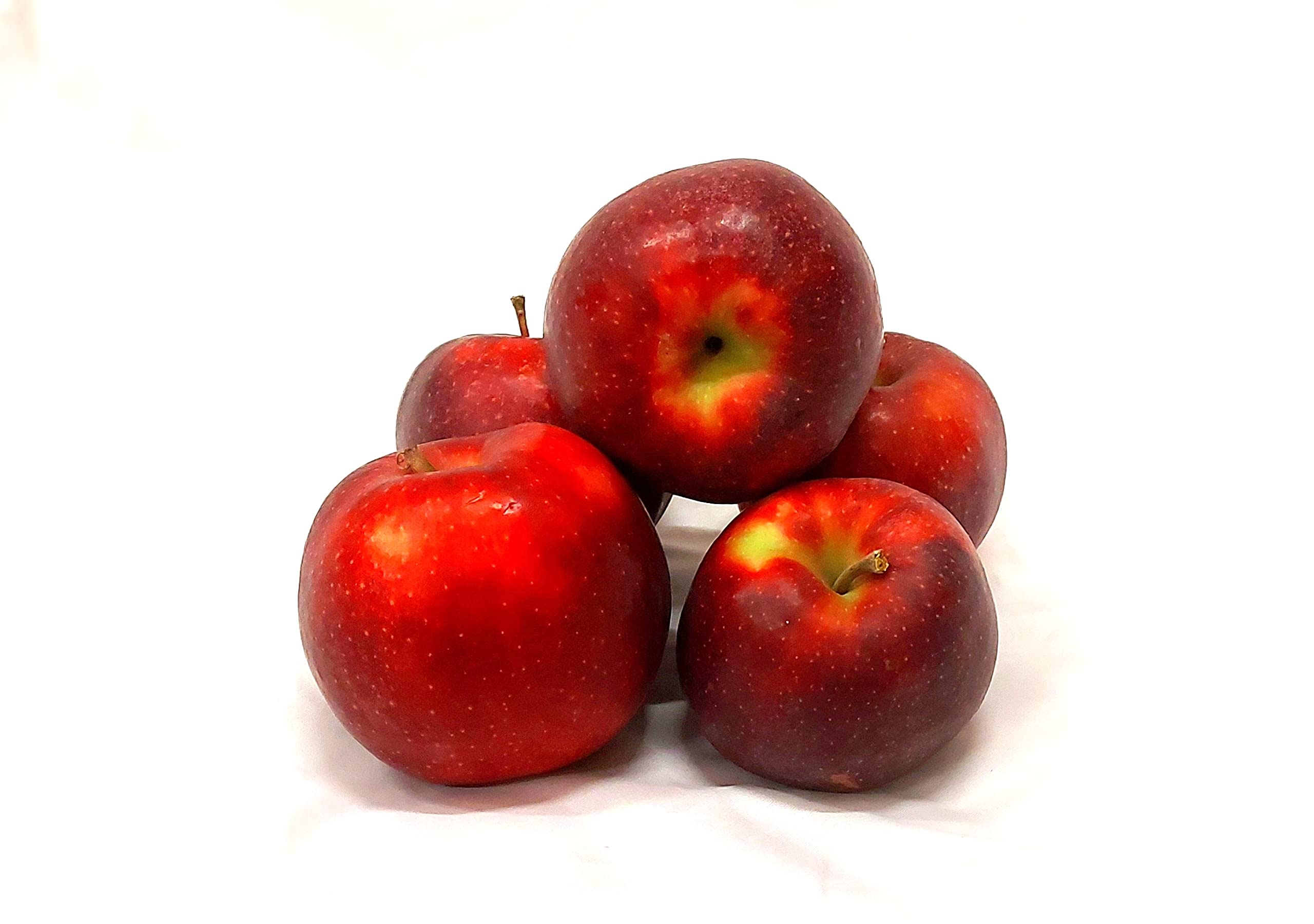 Äpfel Red Jonaprince Jonagold Price Red Prince aus Deutschland/Bodensee saftig süß-säuerlicher Tafelapfel 8 KG