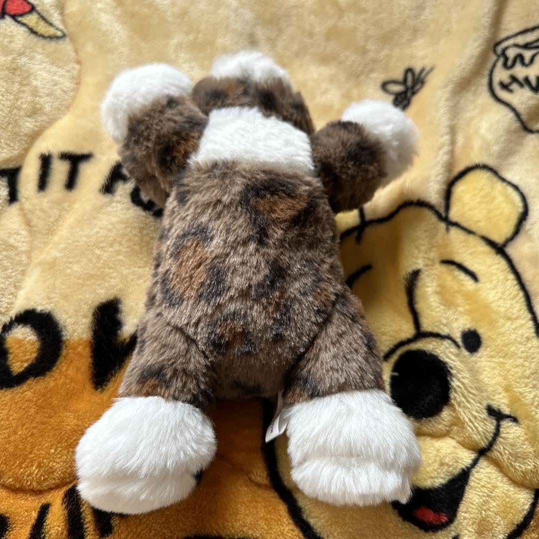 Amazon.co.jp: イリオモテヤマネコ ぬいぐるみ : おもちゃ