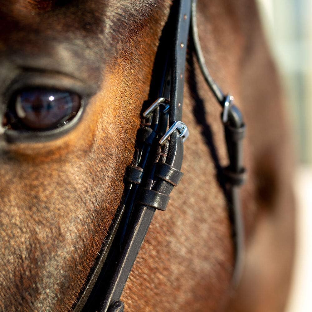 HORZE Weston Flash Bridle w/Reins : Pet Supplies