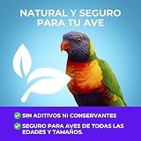 Ver la foto 3