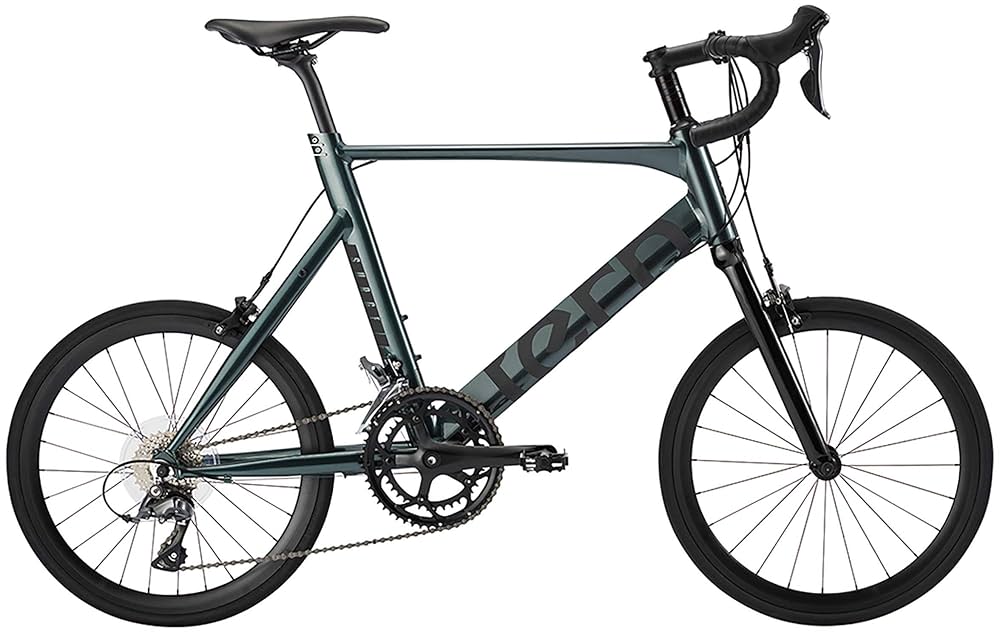 引取り限定 室内保管Tern SURGE 2021年式 52サイズ 美品 Amazon | tern(ターン)2021年モデル Surge(サージュ) ROJI BIKE